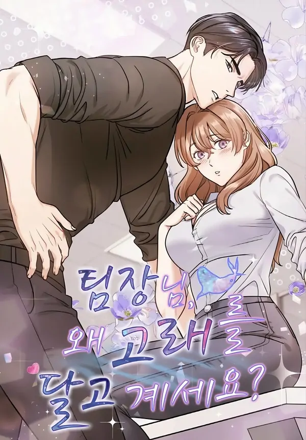(Adulte) Team Leader, Why Are You Carrying a Whale?