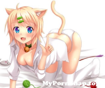 couverture du Manga animal &ndash; felin