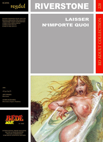 couverture du Bande Dessin&eacute;e [B&eacute;d&eacute; Adult 228] Peter Riverstone [= Bernard Kamenoff] & Gustave Flaubert &ndash; Laisser n&rsquo;importe quoi