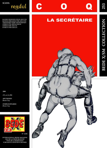 couverture du Bande Dessin&eacute;e [B&eacute;d&eacute; X S.M. 253] Bruno Coq [= Pitek] &ndash; Les aventures de Karine #2 : La Secr&eacute;taire