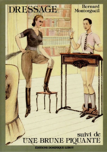 couverture du Bande Dessin&eacute;e [Bernard Montorgueil] Dressage suivi de Une brune piquante [French]