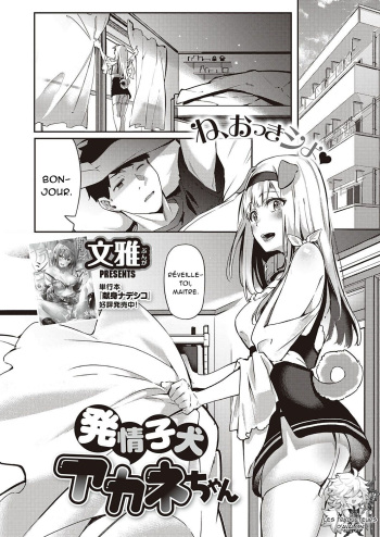 couverture du Manga [Bunga] Hatsujou Koinu Akane-chan (COMIC ExE 29) [French] [Northface] [Digital]