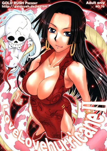 couverture du Manga (C77) [GOLD RUSH (Suzuki Address)] Love Love Hurricane II (One Piece) [French] [Ichigo666]