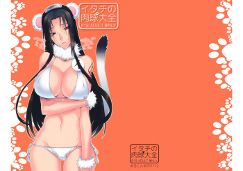 couverture du Manga (C81) [Arcon (Meiya)] Itachi no Nikukyuu Taizen (Naruto) [French] {SAXtrad}