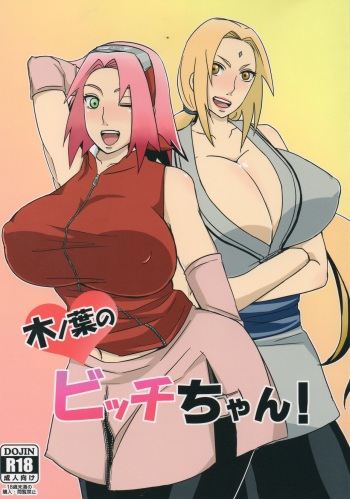 couverture du Manga (C85) [Pucchu (Echigawa Ryuuka)] Konoha no Bitch-chan! (Naruto) [French] {SAXtrad}