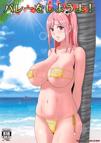 couverture du Manga (C88) [Dashigara 100% (Minpei Ichigo)] Volley o Shiyouyo! (Dead or Alive) [French] [Zer0]