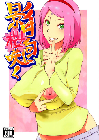 couverture du Manga (C90) [Karakishi Youhei-dan Shinga (Sahara Wataru)] Kage Hinata ni Sakura Saku (Naruto) [French] {SAXtrad}