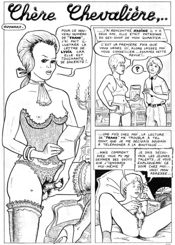 couverture du Bande Dessinée Chere Chevaliere