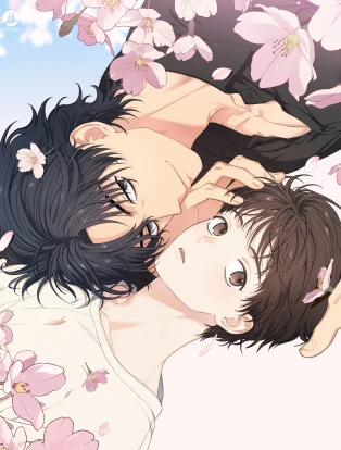 couverture du Manhwa Cherry Cake