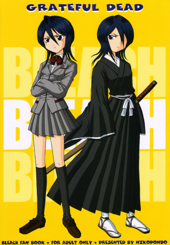 couverture du Manga (CR31) [Nikopondo (Aoyama Reo)] Grateful Dead (Bleach) [French] [O-S]