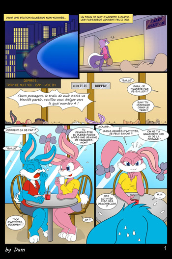 couverture du Bande Dessin&eacute;e [Dam (DamBun)] Toons on a Train [French] (Incomplete)