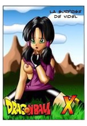 couverture du Manga DBZ La surprise de Videl (fran&ccedil;ai)