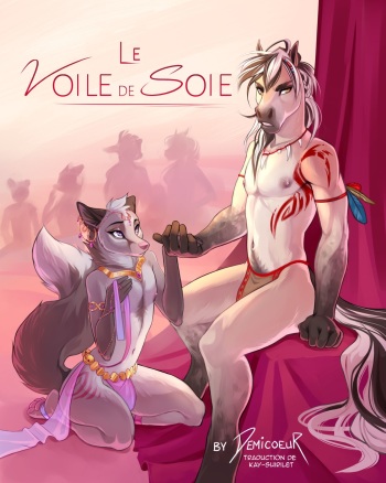 couverture du Bande Dessin&eacute;e [Demicoeur] The Silk Sash / Le Voile de Soie (Fran&ccedil;ais) [Kay-Suirilet]
