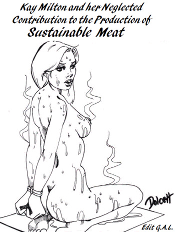 couverture du Bande Dessin&eacute;e [Dolcett] Dinner by Design Fr