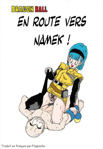 couverture du Manga [Dragon Ball Z] Aim at Planet Namek [French]