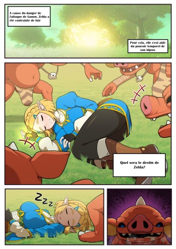 couverture du Manga [Everyday2]Hidden memory (The Legend of Zelda) [FRENCH]