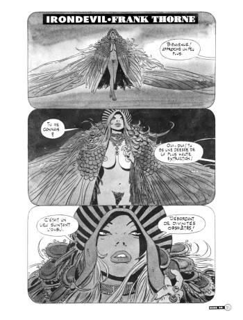 couverture du Bande Dessin&eacute;e [Frank Thorne] The Iron Devil [French]