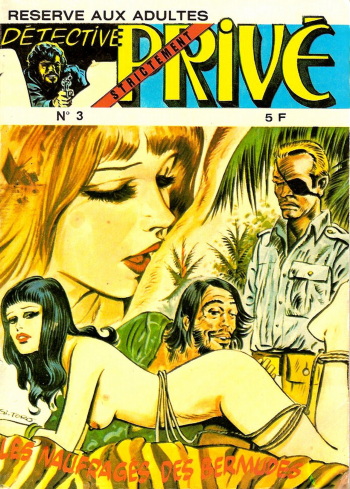 couverture du Bande Dessin&eacute;e [Gi-Toro] D&eacute;tective Strictement Priv&eacute; &ndash; T03 &ndash; Les Naufrag&eacute;s des Bermudes [French]