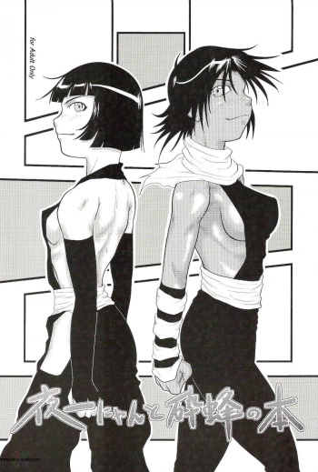 couverture du Manga [Great.Dadan (Seijirou Kagechika)] Yoruichi Nyan to Soi Fon no Hon (Bleach) [French] [BDD Doujins]