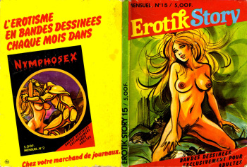 couverture du Bande Dessin&eacute;e [Hodges] Erotik Story &ndash; Volume 15 [French]
