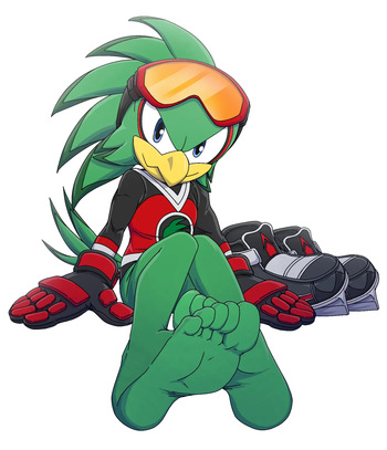 couverture du Bande Dessin&eacute;e Jet the Hawk & Sonic by Footninja15