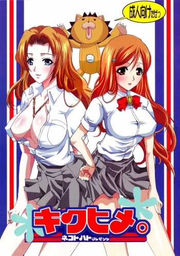 couverture du Manga (Kyonyuukko 4) [Neko to Hato (Hatoya Mameshichi)] Kiku Hime. (BLEACH) [French] [HentaiFR]