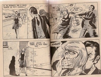 couverture du Bande Dessin&eacute;e La derniere des amazones
