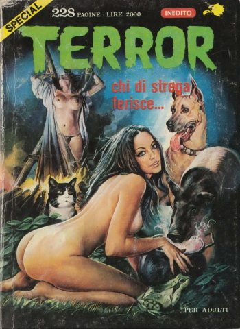 couverture du Bande Dessin&eacute;e La fille de la sorciere [french]