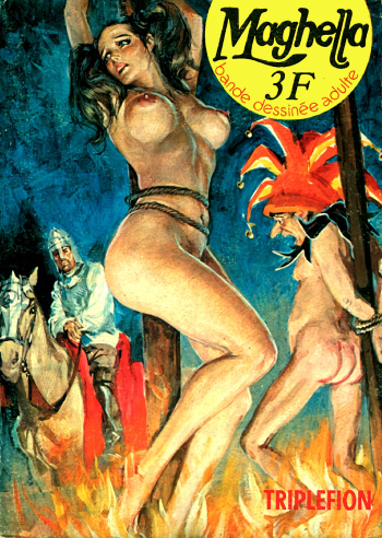 couverture du Bande Dessin&eacute;e Maghella 29 &ndash; Triplefion (French]