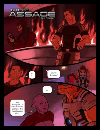 couverture du Bande Dessin&eacute;e [Meesh] RITE OF ASSAGE (french)