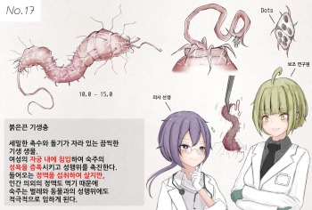 couverture du Manga Mushi Research Report No.17 [Korean]