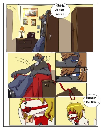 couverture du Bande Dessin&eacute;e Obedience Furry