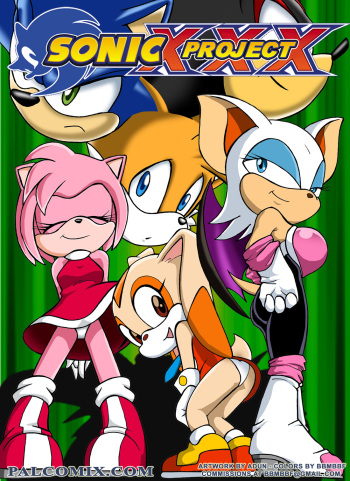 couverture du Bande Dessin&eacute;e [Palcomix] Sonic Project XXX 1 (french)