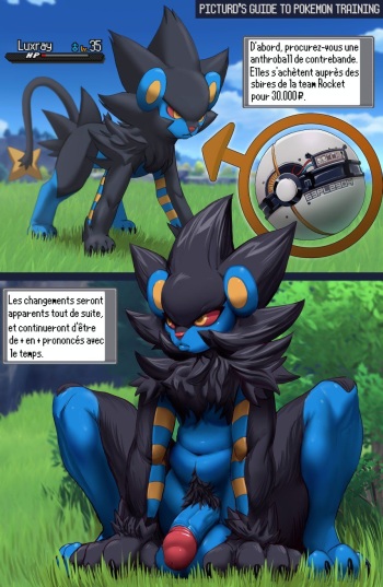 [Picturd] Luxray&rsquo;s Anthroball Training [French]