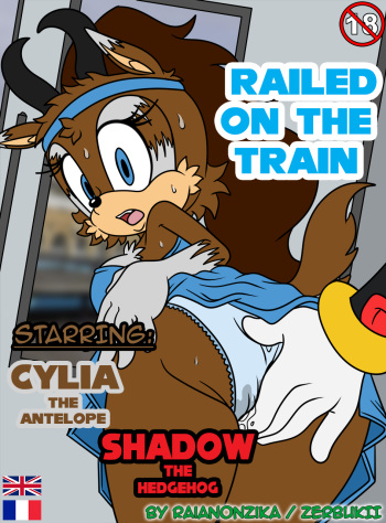 couverture du Bande Dessin&eacute;e [RaianOnzika/ZerbukII Railed On the Train FRANCAIS [Complet]