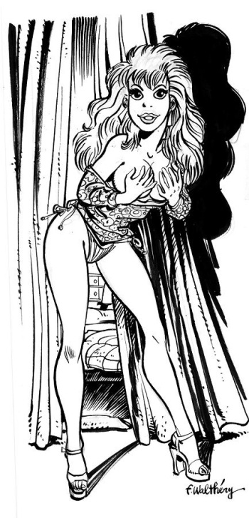 couverture du Bande Dessin&eacute;e Rubine by Di Sano and Walthery