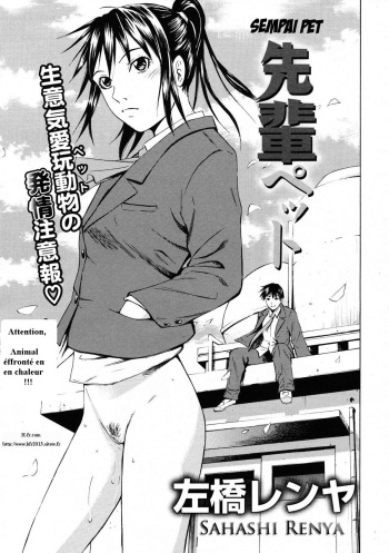 couverture du Manga [sahashi renya] sempai pet (fr french)