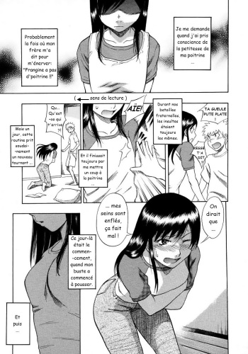 [Shiden Akira] Tiny Boobs, Giant Tits History (French)