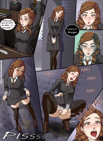 couverture du Bande Dessin&eacute;e [StormFedeR] Le Charme (Harry Potter) [French] [Eatme]