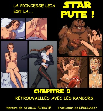 couverture du Bande Dessin&eacute;e [Studio-Pirrate] Star Wars &ndash; Leia&rsquo;s Ordeal 3 ou Star Pute 3 (French)