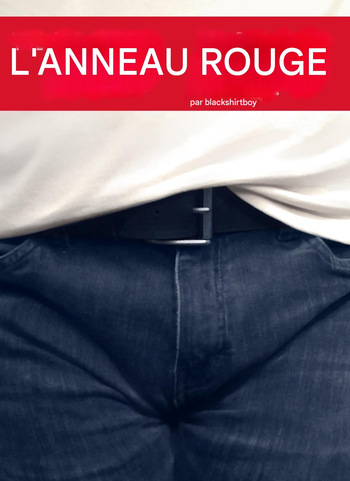 couverture du Manga The Red Ring 1-3 French