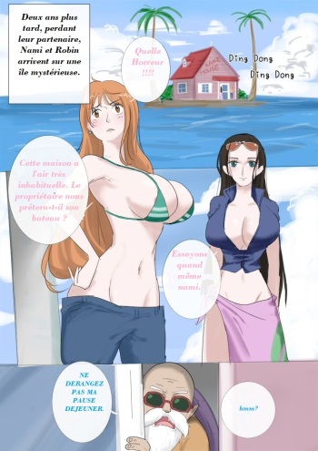 couverture du Manga The Sexual Life Of The Turtle Hermit (One Piece, Dragon Ball) french