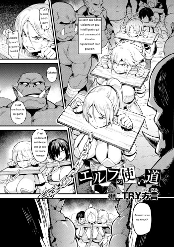 couverture du Manga [TRY Hougen] Elf no Tsukaimichi (Bessatsu Comic Unreal Ningen Bokujou Hen Vol. 7) [French] [Digital]
