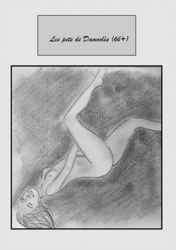 couverture du Bande Dessin&eacute;e V&eacute;gacoquin / Les pets de Damocl&egrave;s (6b+)  [French]