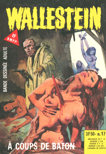 couverture du Bande Dessin&eacute;e Wallestein 017 &ndash; A coups de baton [French] [PJP]