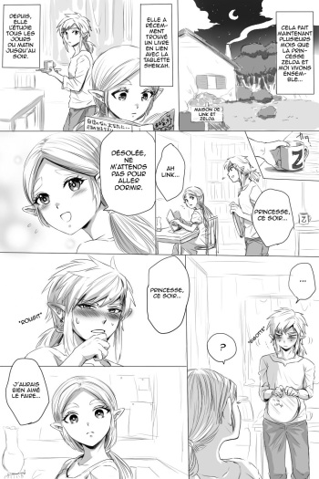 couverture du Manga [Wasabi] BreaWi no LinZel ga Hitasura Ichaicha Shite Sukebe na Koto Suru Manga | Un manga BotW o&ugrave; Link et Zelda flirt et font des choses obsc&egrave;nes (The Legend of Zelda: Breath of the Wild) [French] [glob34]