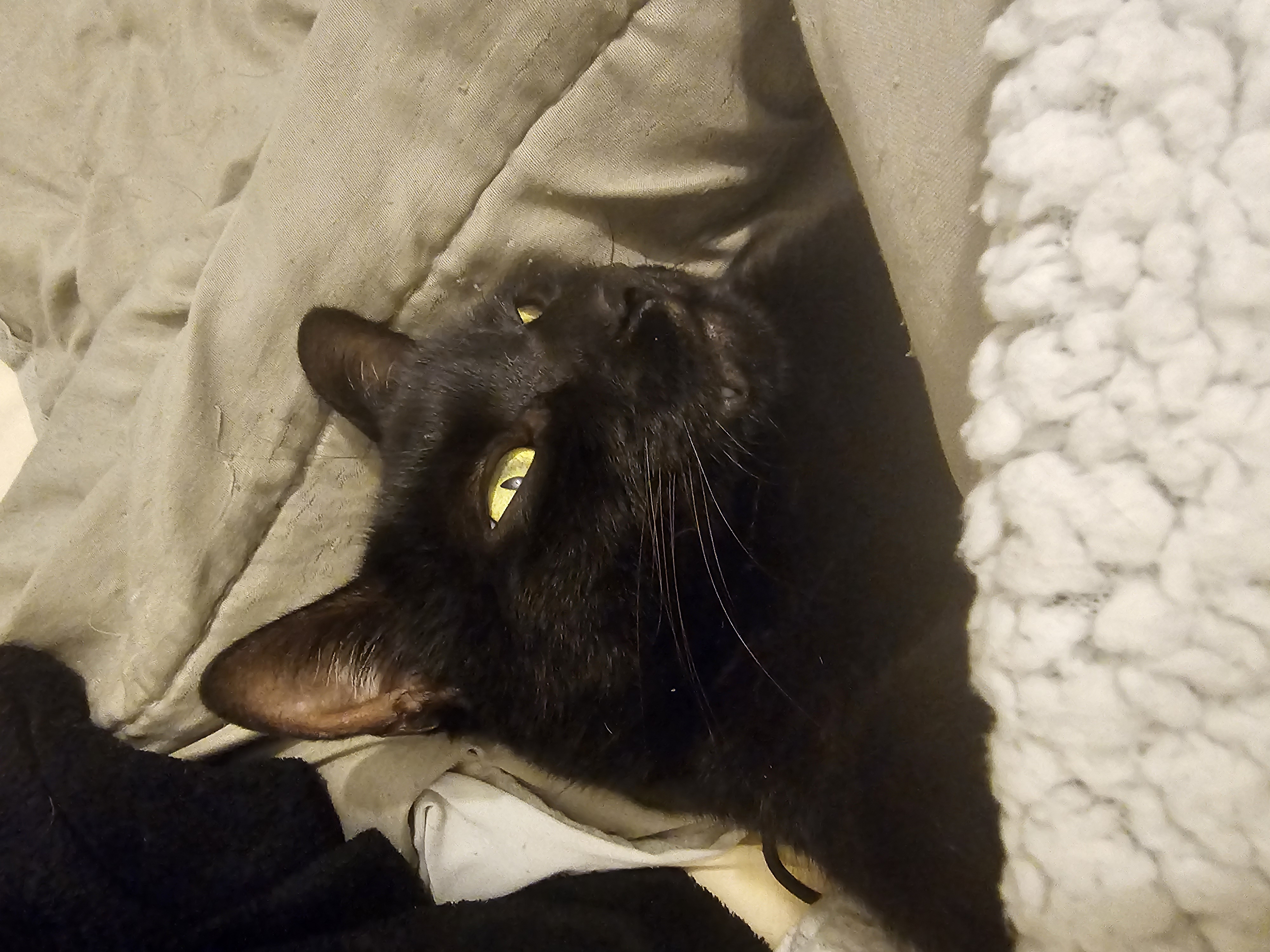 Photo de profil de Akillyala