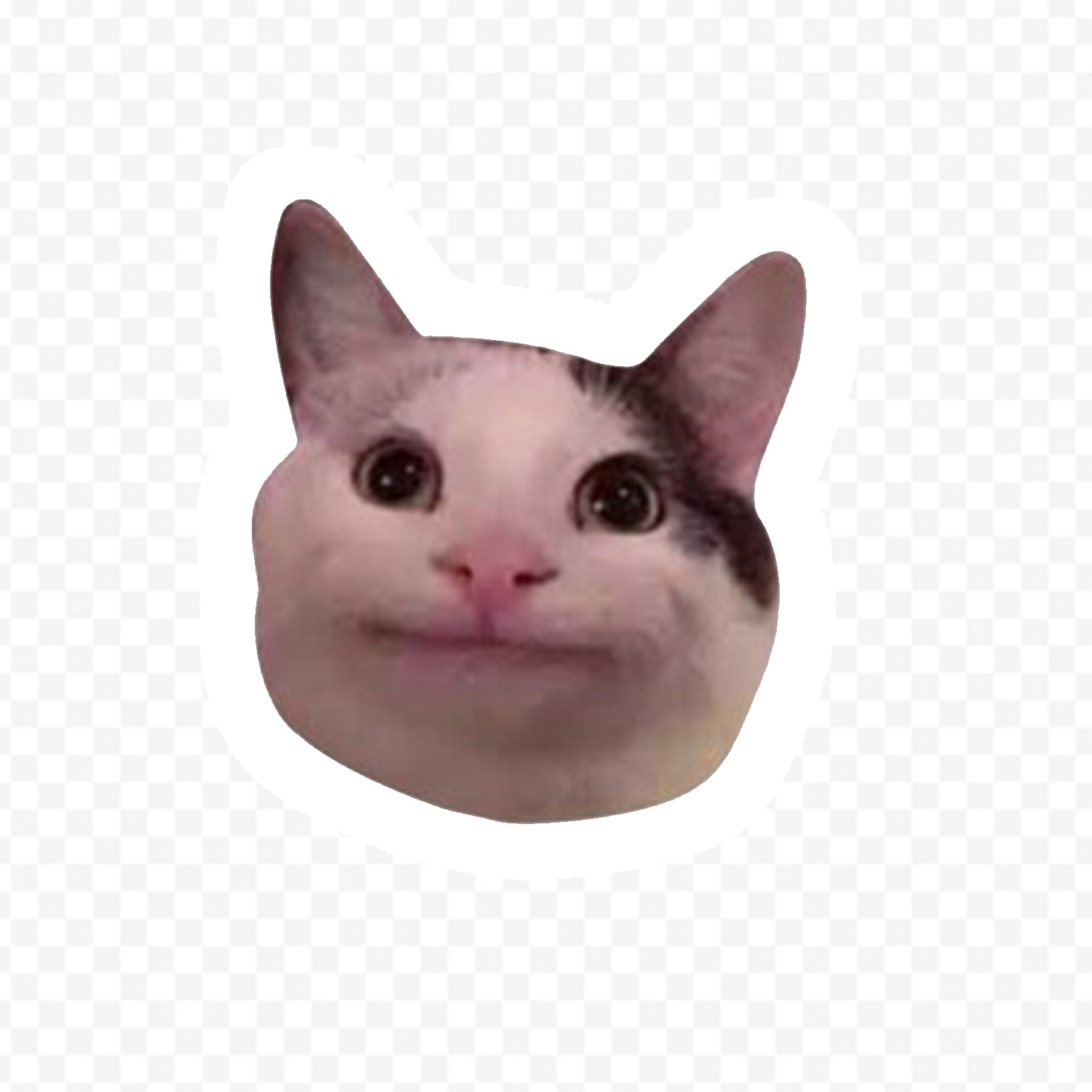 Photo de profil de cursed