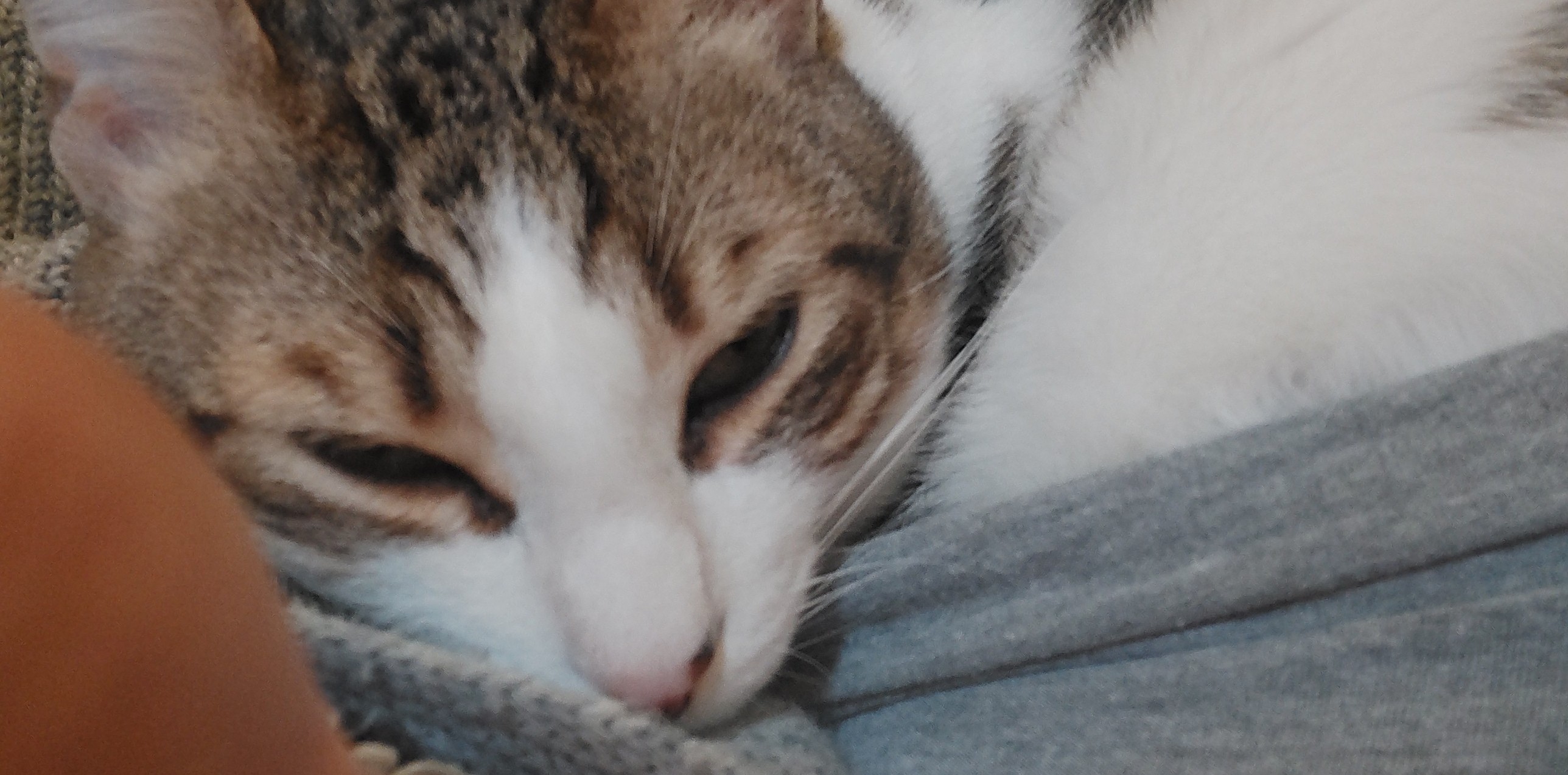 Photo de profil de Elynn330