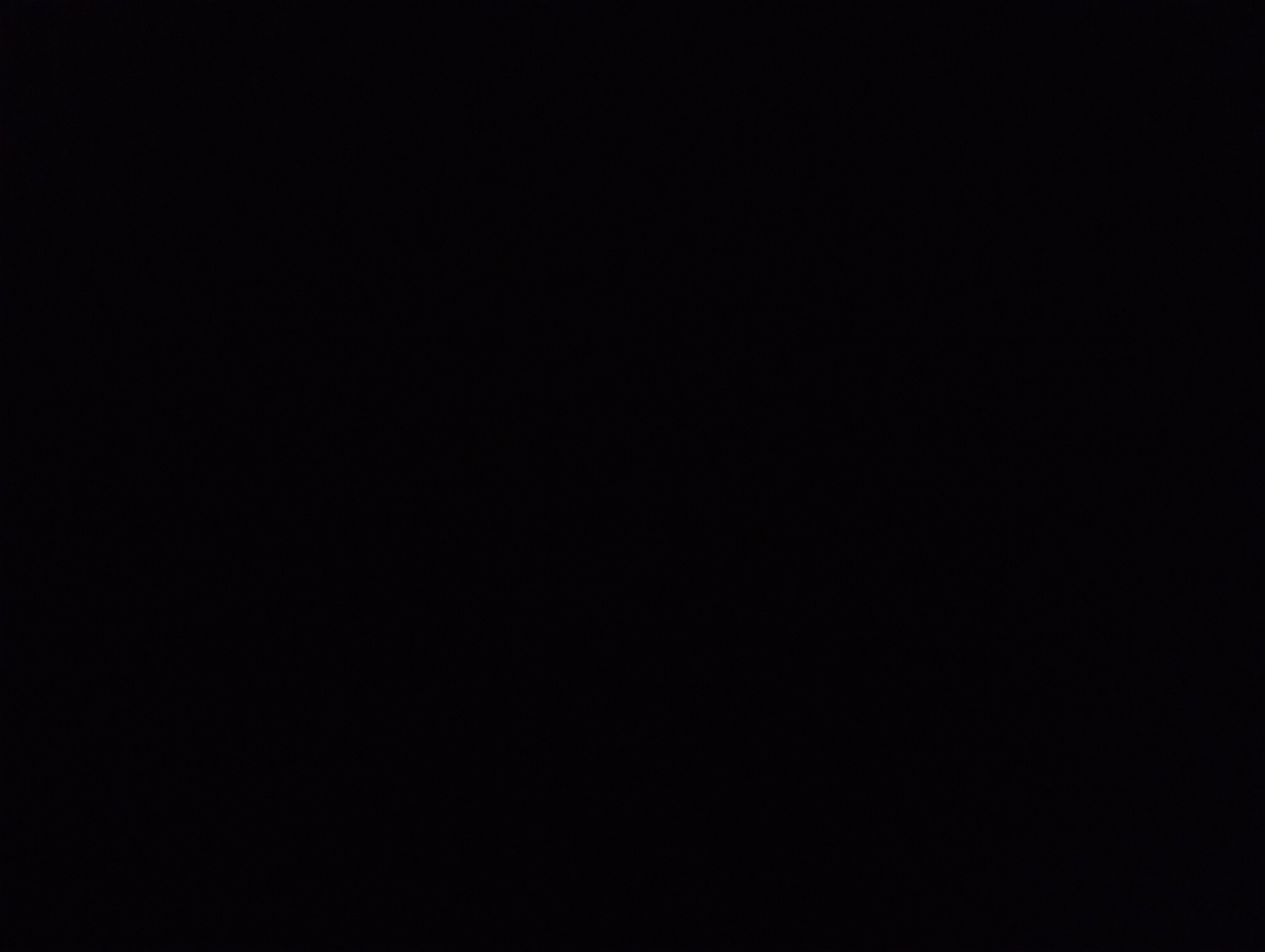 Photo de profil de Lee nabi